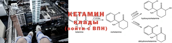 ПСИЛОЦИБИНОВЫЕ ГРИБЫ Суровикино