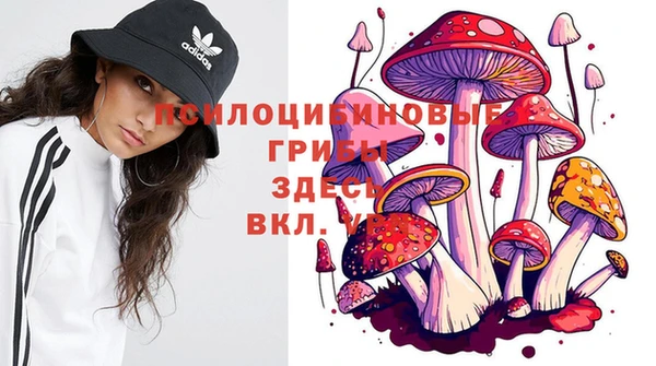 каннабис Надым