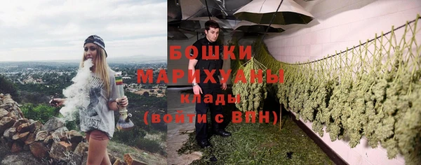 мдпв Навашино