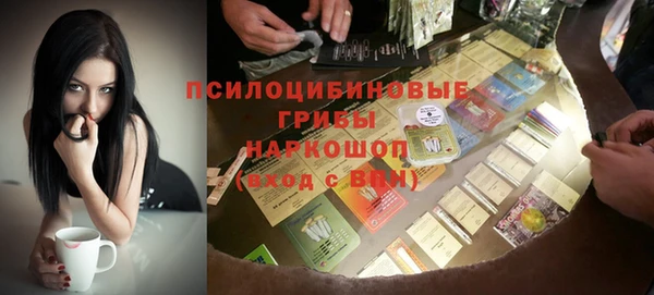 мдпв Навашино